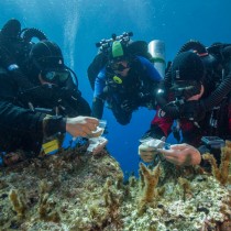Artifacts discovered on return expedition to Antikythera Shipwreck