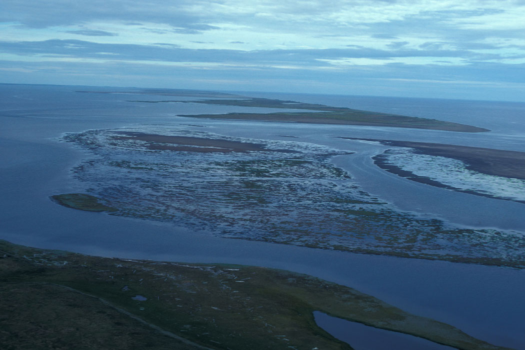 Old World metals traded on Alaska coast hundreds of years before contact with Europeans