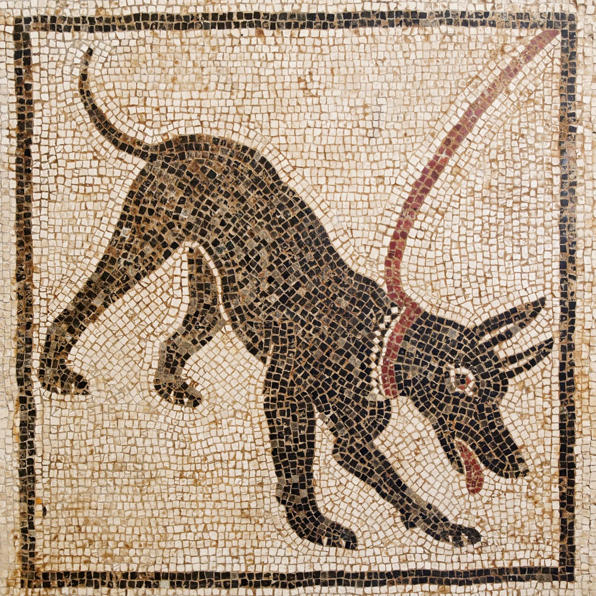 Roman dog mosaic from the threshold of a house in Pompeii, “Cave canem” (“Beware of the dog”); National Archaeological Museum, Naples.