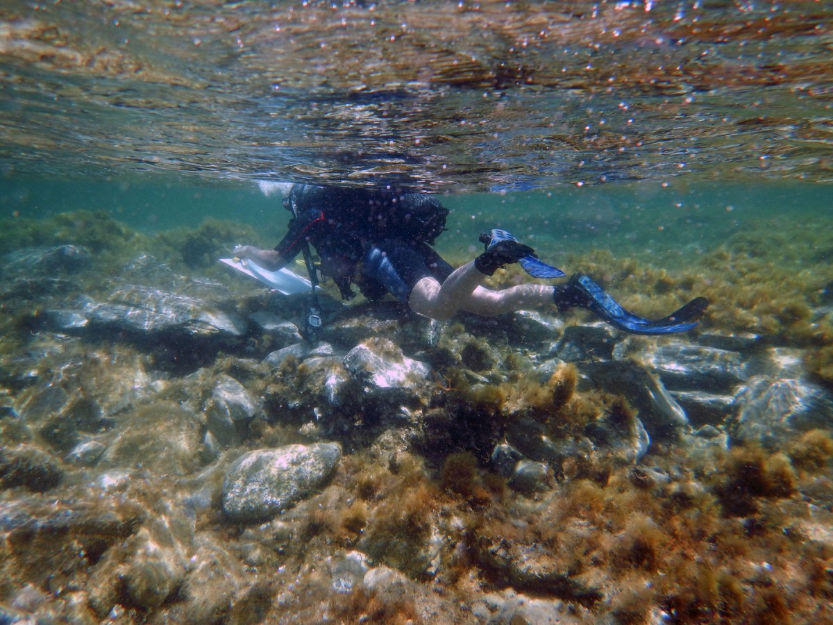 Fig. 1. Mapping of the construction found at the Skardanas Bay.