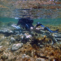 Seven shipwrecks located off Delos’ shores