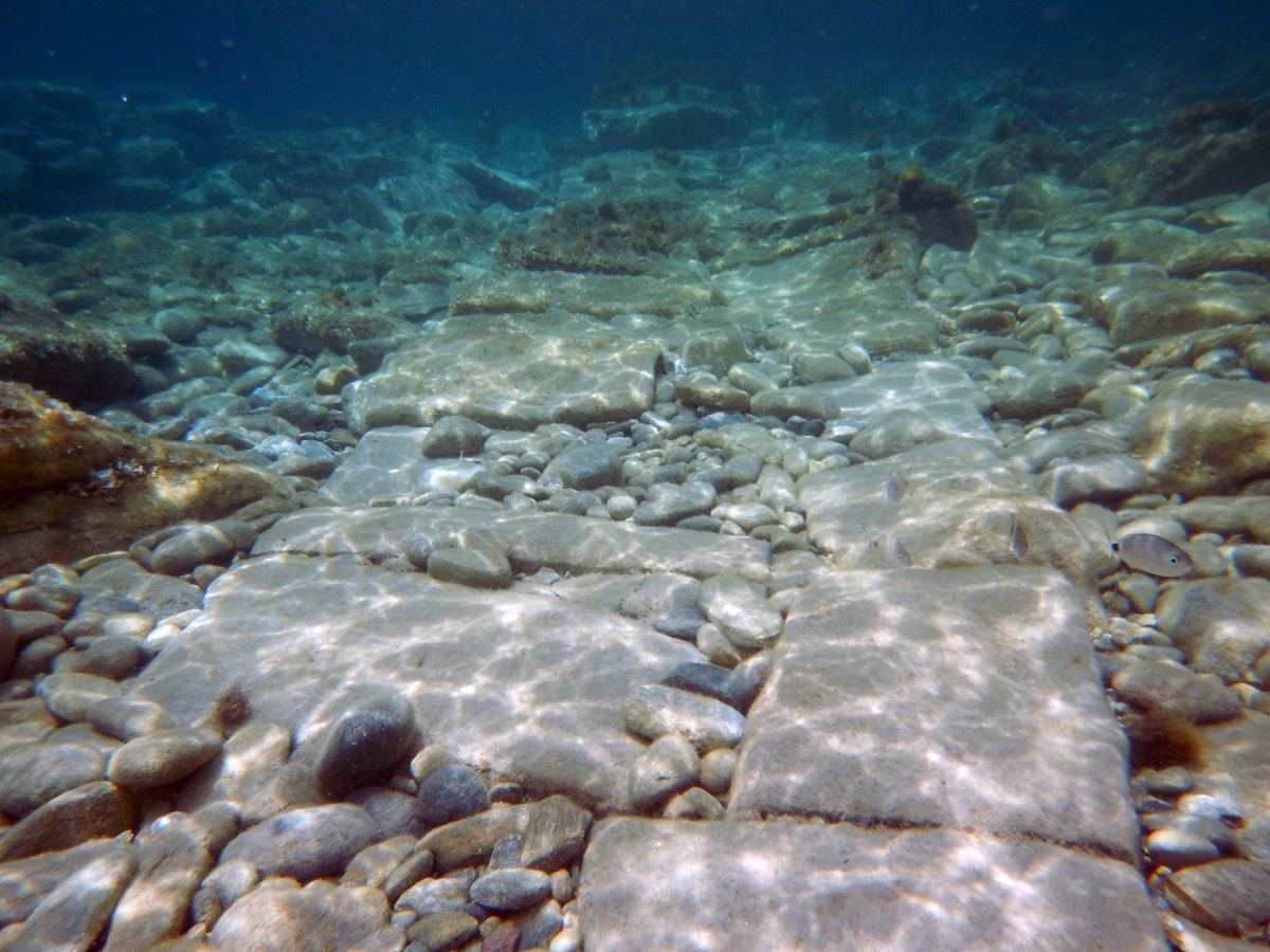 Fig. 2. View to the west of the construction’s foundation at the Skardanas Bay. 