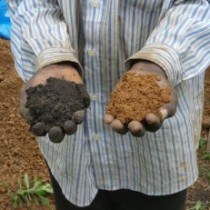 700-year-old West African soil technique could help mitigate climate change