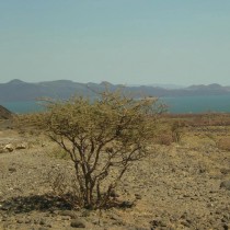 “Pristine” landscapes haven’t existed for thousands of years due to human activity
