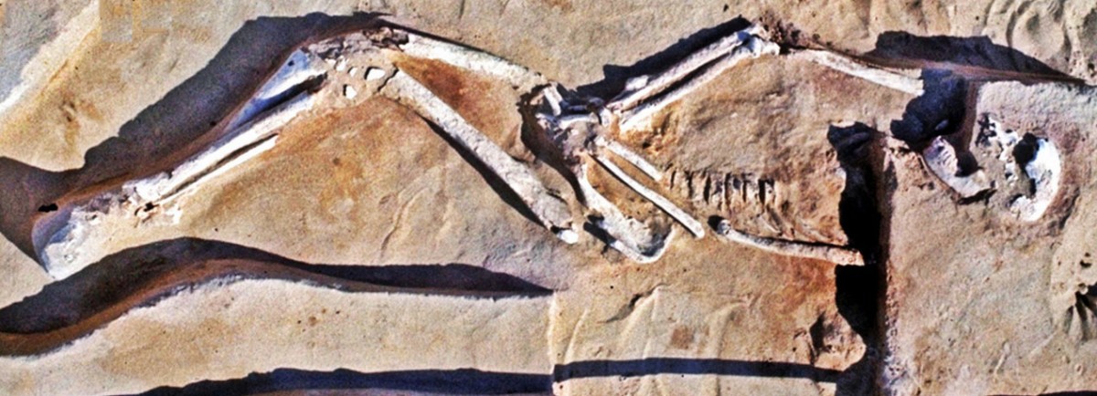 The 40,000-year-old remains of Mungo Man were discovered in 1974 on the southern sector of the eroding Lake Mungo shoreline.