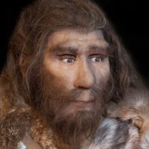 Inbred Neanderthals left humans a genetic burden