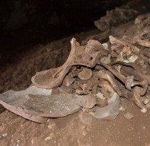 Tourists in Italy discover Roman child skeleton