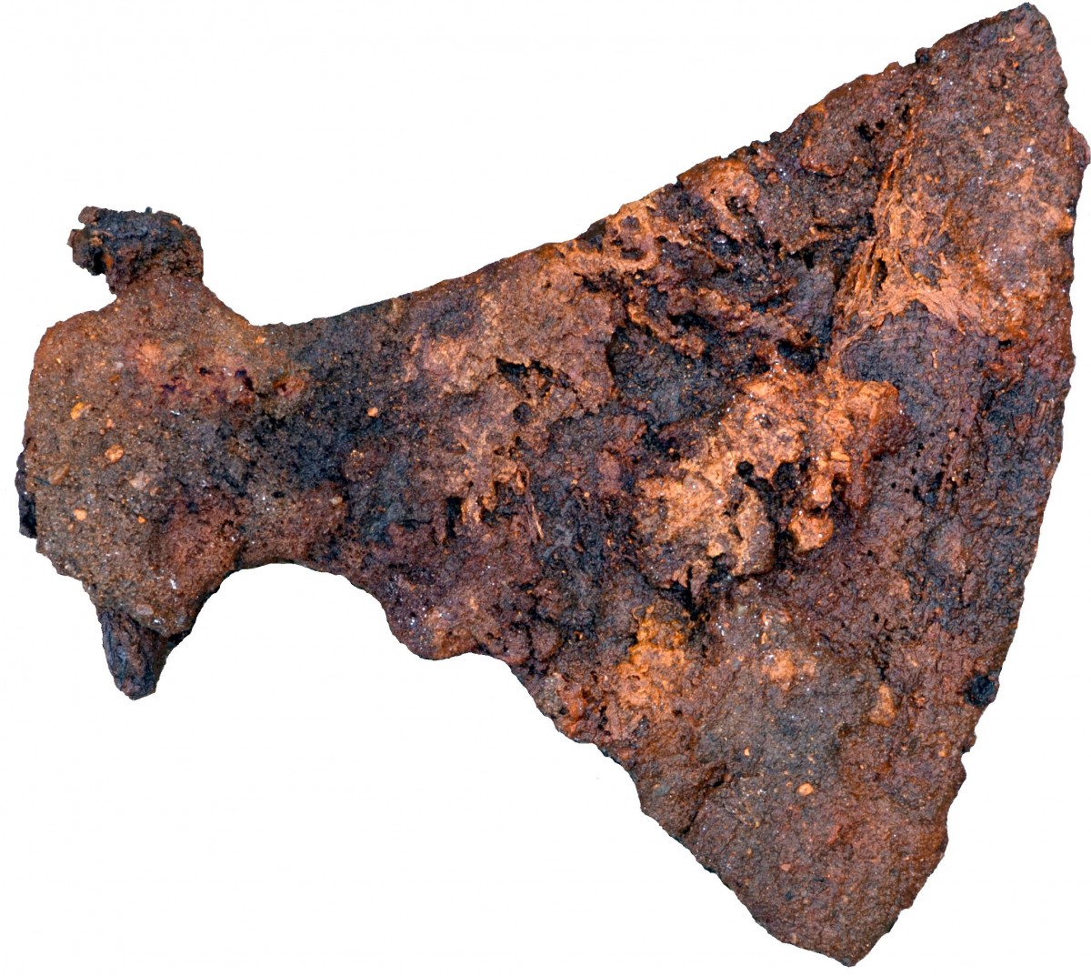 Archaeologists found a large axe buried in one of the men's graves. Photo Credit: Museum Silkeborg/Science Nordic.