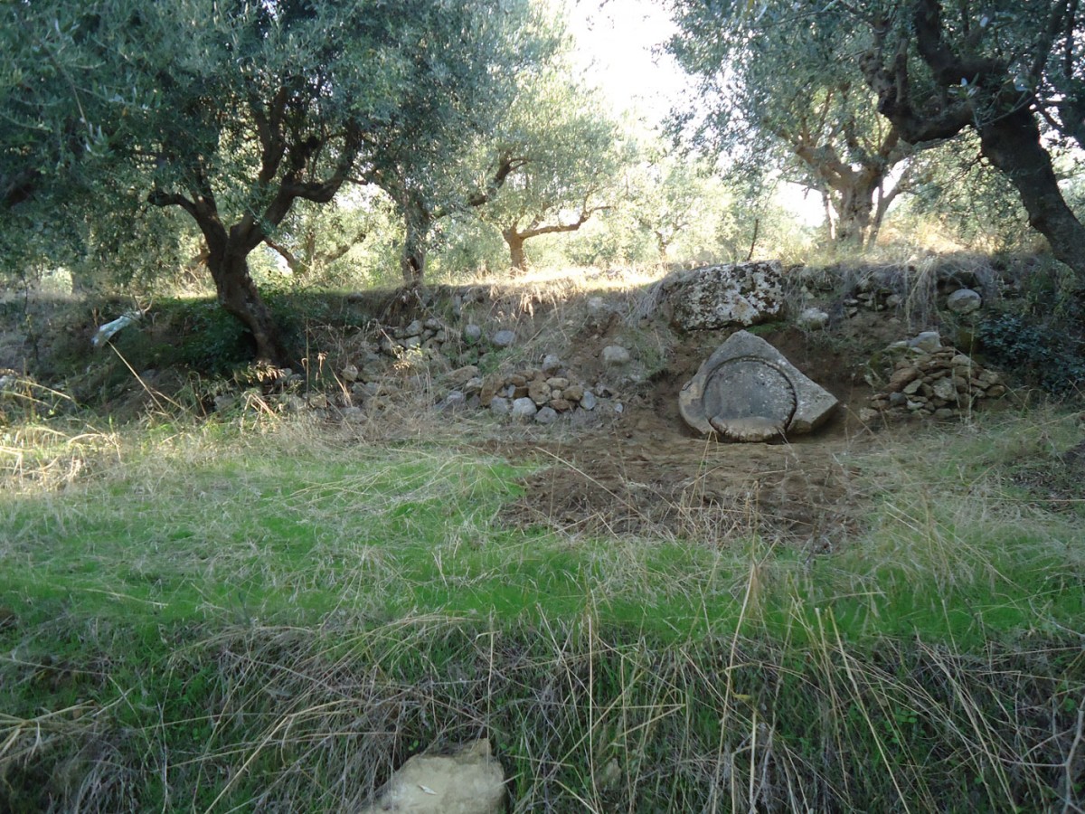 Fig. 11. “Hellenikon Monastery” in Thouria. Property of I. Filiopoulou. Overall view from the west of area where the base of the oil press is situated.
