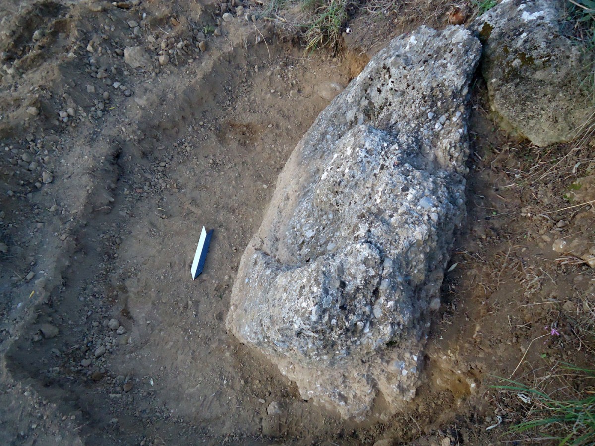 Fig. 3. ‟Hellenika” in Thouria. Property of N. Krikkas. View from the north of the carved basin of the oil press.