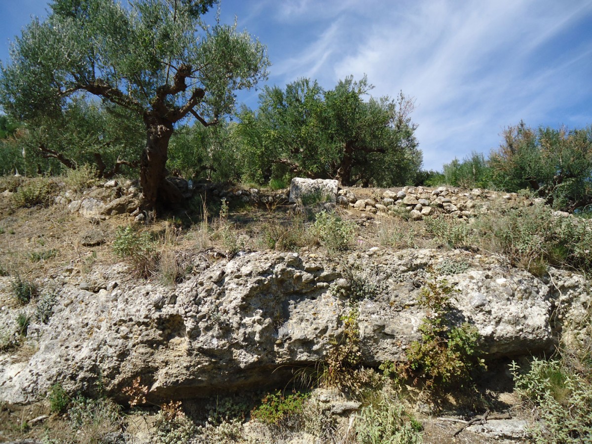 Fig. 5. ‟Hellenika” in Thouria. Property of N. Krikkas. Layer of rocks above the fallen carved boulder.