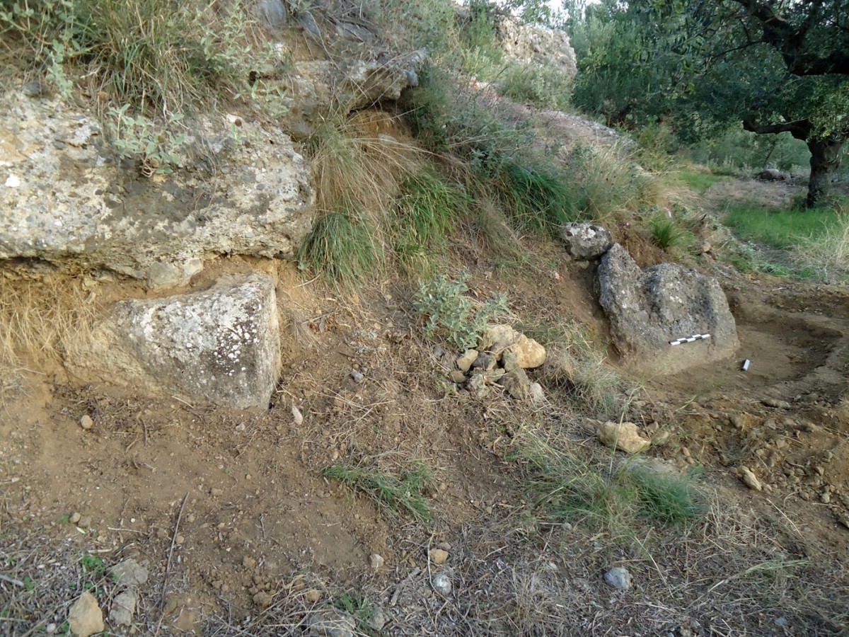 Fig. 6. ‟Hellenika” in Thouria. Property of N. Krikkas. The carved natural rock of the oil press. On the left end is part of the isodomic wall of the ancient building.