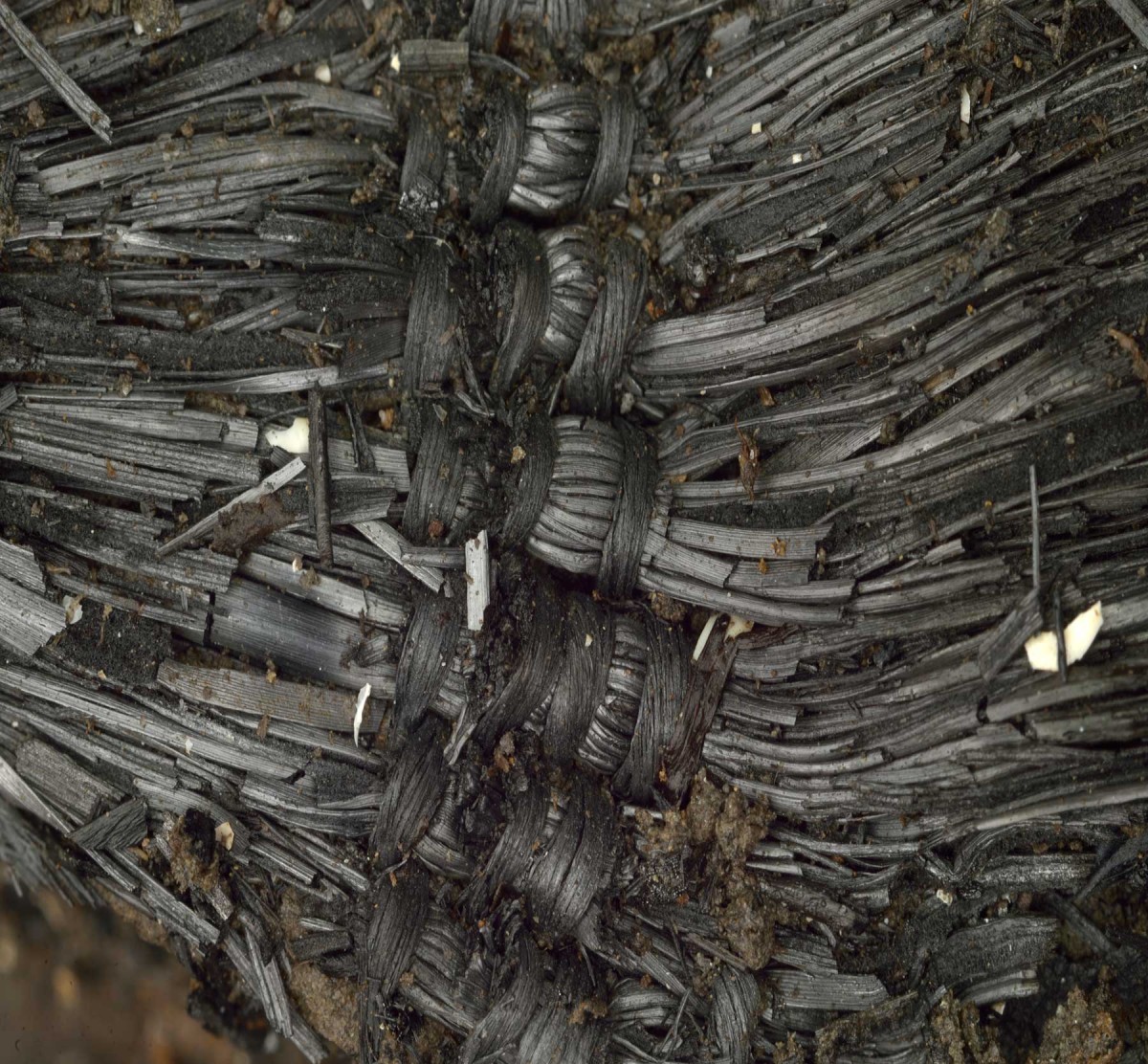 Bronze Age textile made from plant fibres. Credit: University of Cambridge