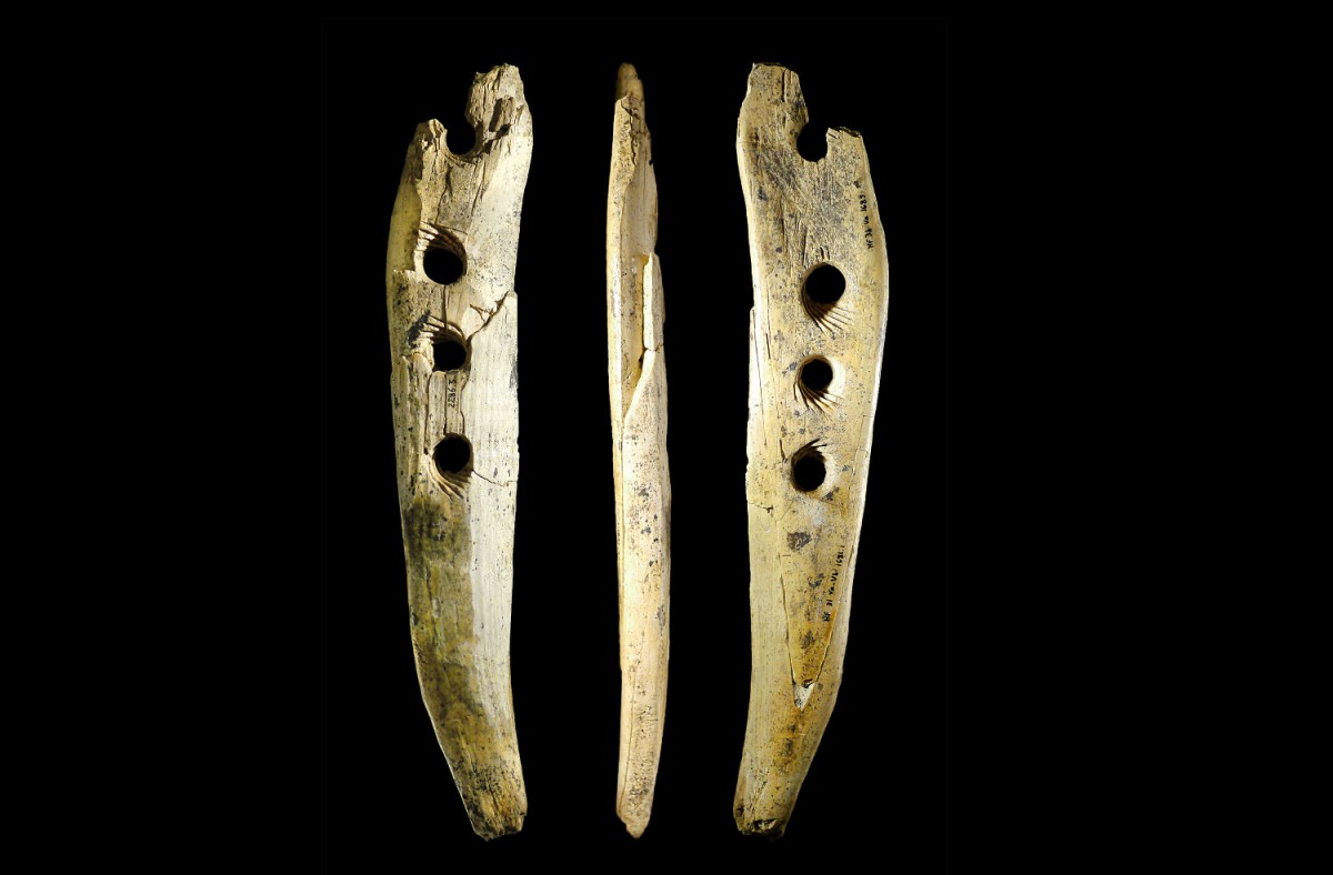 A tool used to make rope was found in Hohle Fels Cave in southwestern Germany. 