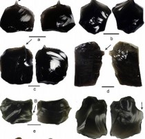 Obsidian tools used for tattooing in prehistoric Oceania
