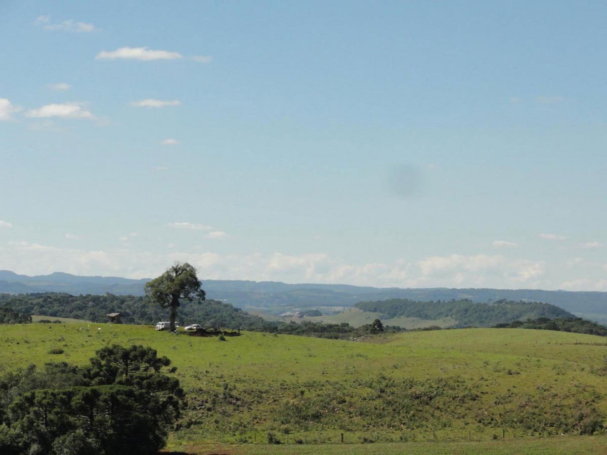 Ancient Brazilians occupied the same homes for centuries