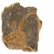 Rare Roman frescoes discovered at Zippori in the Galilee
