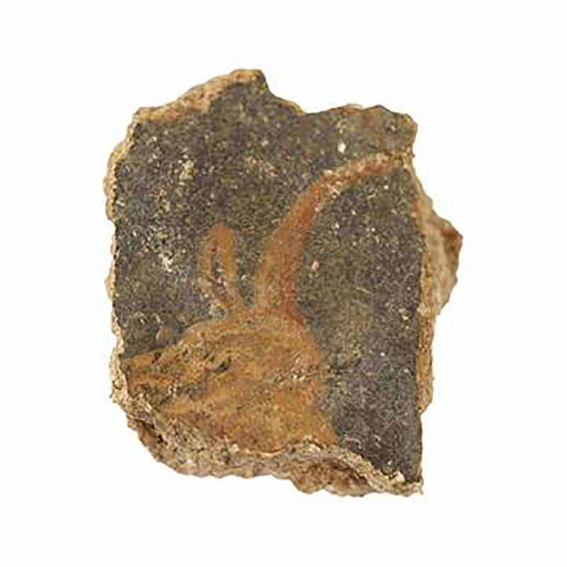 A bull's head in a fresco from Zippori, dating from the early Second Century C.E. (Photo: G. Laron)