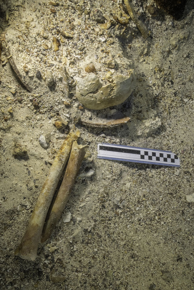 The team excavated and recovered a human skull including a jaw and teeth, long bones of the arms and legs, ribs, and other remains. Other portions of the skeleton are still embedded in the seafloor, awaiting excavation during the next phase of operations.