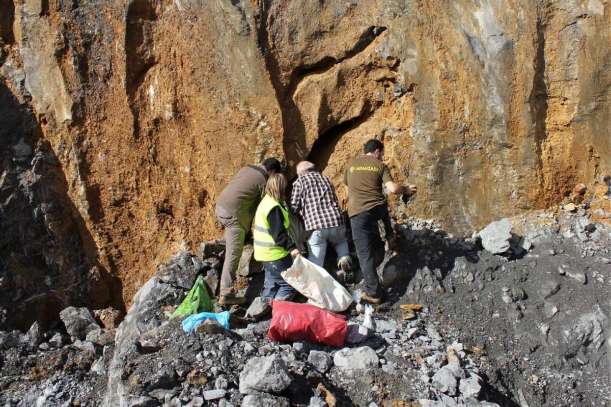 Excavating at the Artazu VII site located in the Kobate Quarry in Arrasate (Gipuzkoa, Basque Country). Credit: 
EPV/EHU
