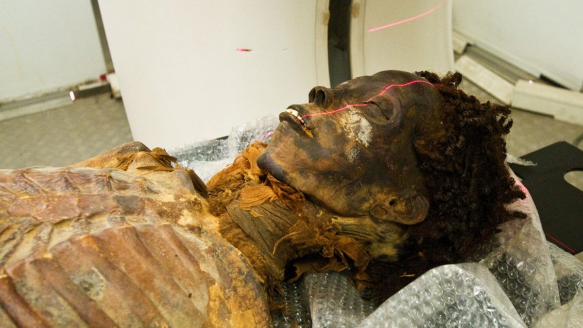 The mummy of an Egyptian nobleman undergoes CT scanning as part of a study of ancient disease. Credit: Michael Miyamoto
