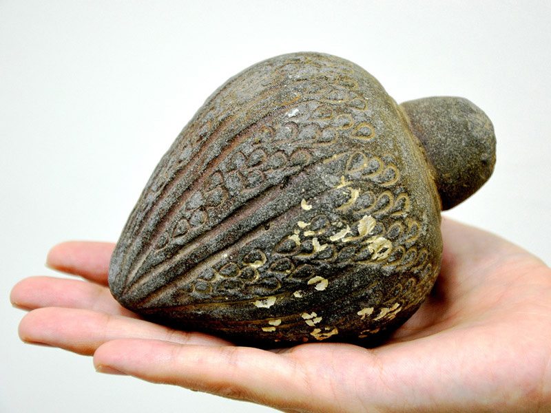 Ancient hand grenade found in the sea, which may date back to the Crusader, Ayyubid or Mamluk periods.  
Photograp: Amir Gorzalczany, Israel Antiquities Authority
