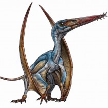 New species of pterosaur discovered in Patagonia