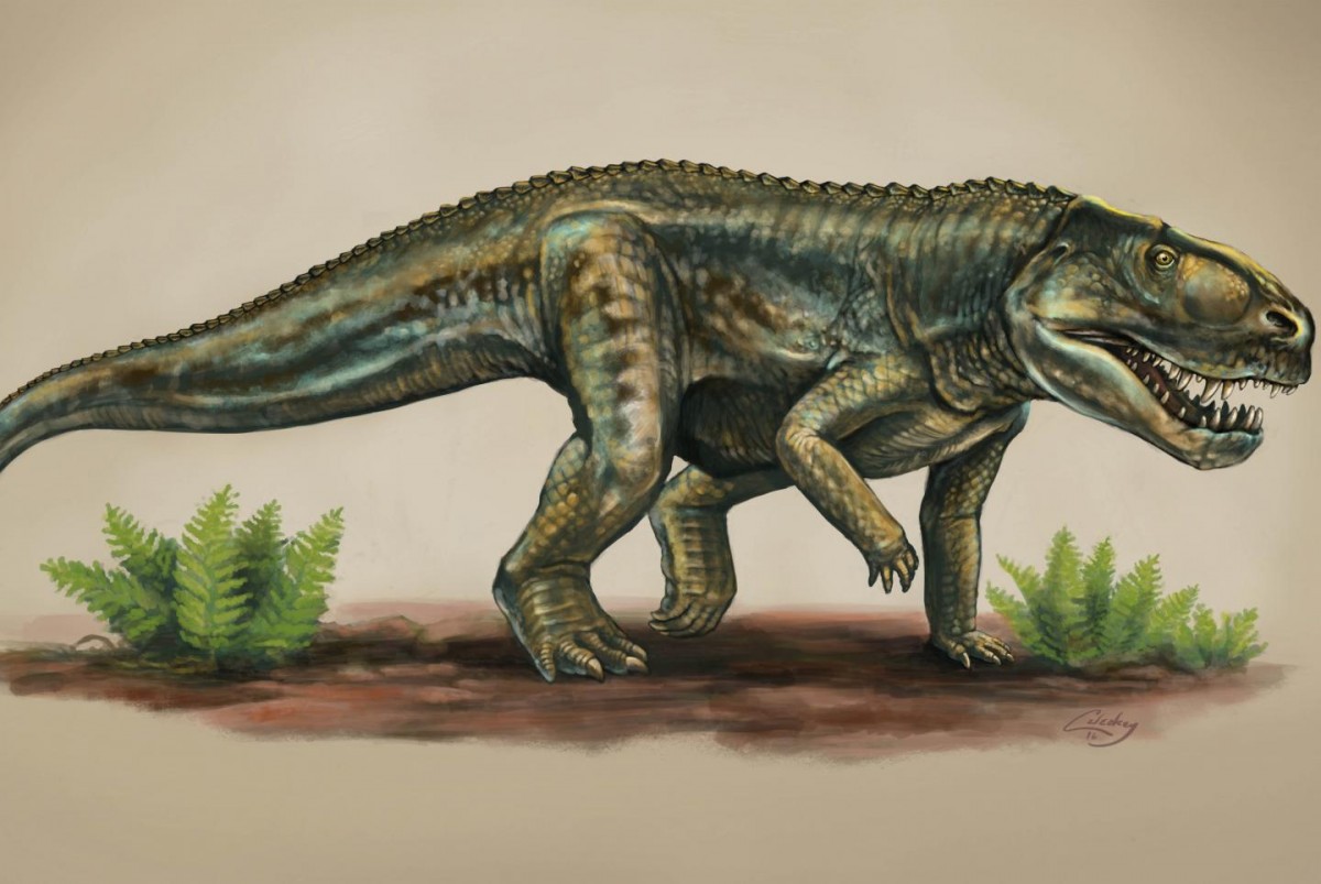 Artist’s rendering of a Vivaron Haydeni that lived more than 200 million years ago. Credit image by Matt Celeskey