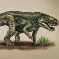 Researchers name a new species of reptile from 212 million years ago