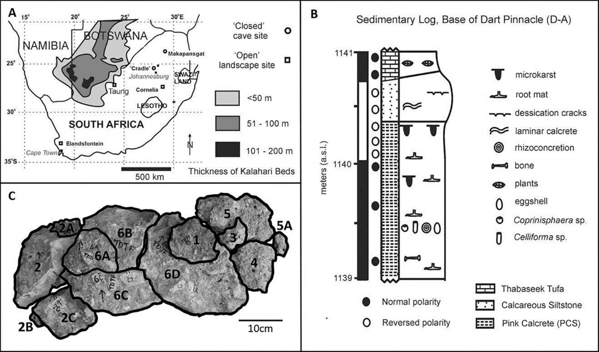 Locality and stratigraphy of the deposits. Photo Credit: Jennifer F. Parker, Philip J. Hopley, Brian F. Kuhn/PLOS ONE.