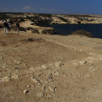 Results of the excavations at Akrotiri-Dreamer’s Bay