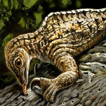 Ancient reptile fossils claw for more attention