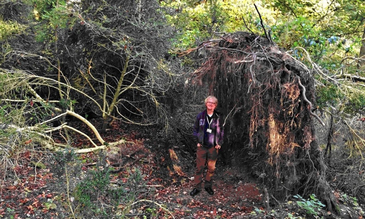 Examination of a trench in Blick Mead has led to the discovery of a charred toad’s leg, bones of trout or salmon as well as the remains of cooked aurochs. Photograph: University of Buckingham/PA/The Guardian.