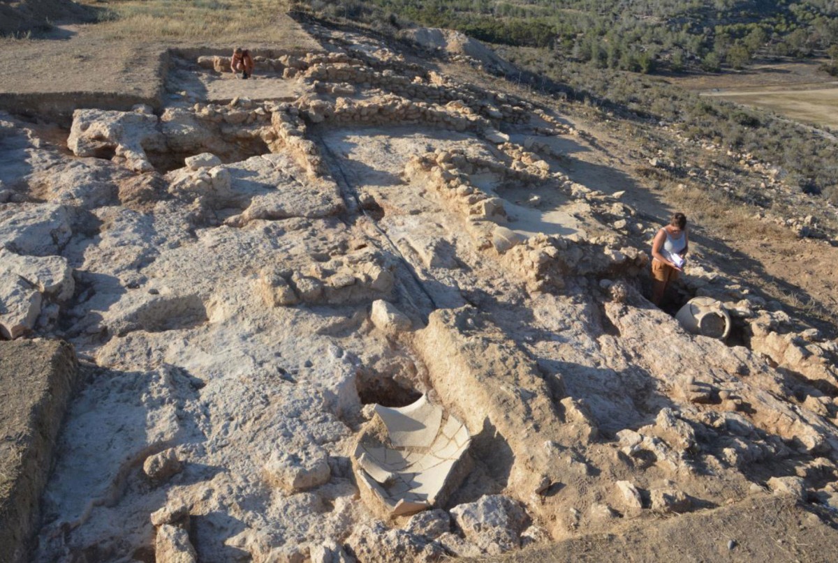 Fig. 6. Sector 5 – view to the north (photo J. Bretschneider)