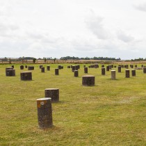 Ancient Britons’ teeth reveal people were ‘highly mobile’ 4,000 years ago