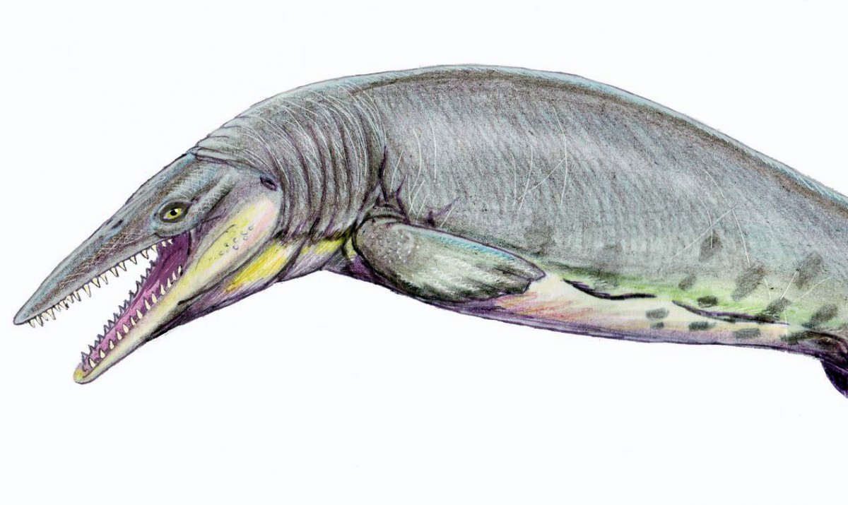 Species of Mosasaur. Credit: Dmitry Bogdanov