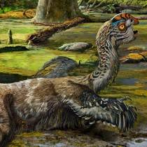 Dinosaur discovery casts light on final flurry of animals’ evolution