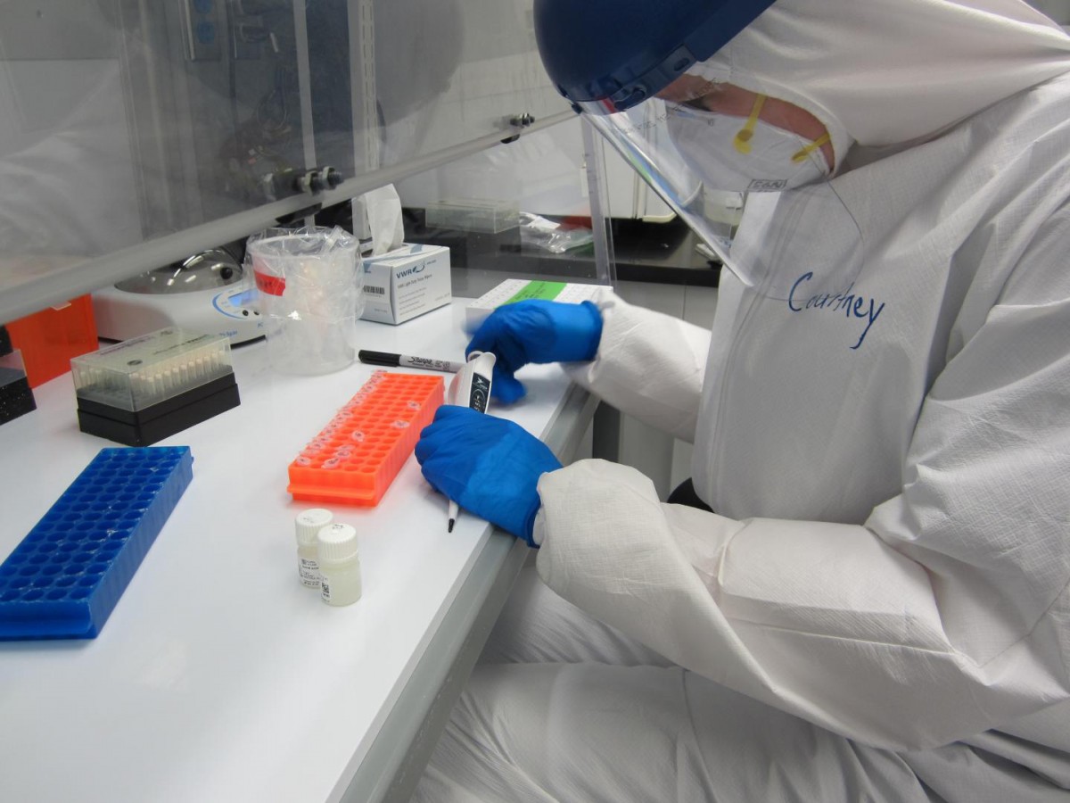 Hofman in her laboratory at the Stephenson Research and Technology Center on the OU Research Campus. Credit: University of Oklahoma