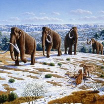 Ice Age hunters destroyed forests throughout Europe