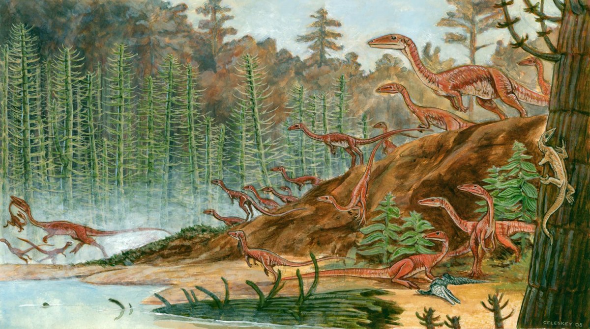 A Coelophysis flock. Credit: Matt Celeskey