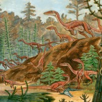 Geoscientists size-up early dinosaurs, find surprising variation