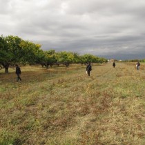 New evidence of the existence of an unknown Roman camp in Armenia