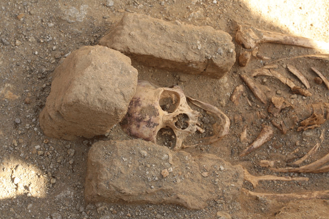 The person pictured here is from the second cemetery, which is located right beside the medieval monastery. Almost all of the people buried in this cemetery were adult males, a find that indicates this cemetery was used by the monks who lived in the monastery. Photo Credit: LiveScience/Robert Stark.