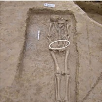 Scientists Find Human Probably Made Silk 8500 Years Ago