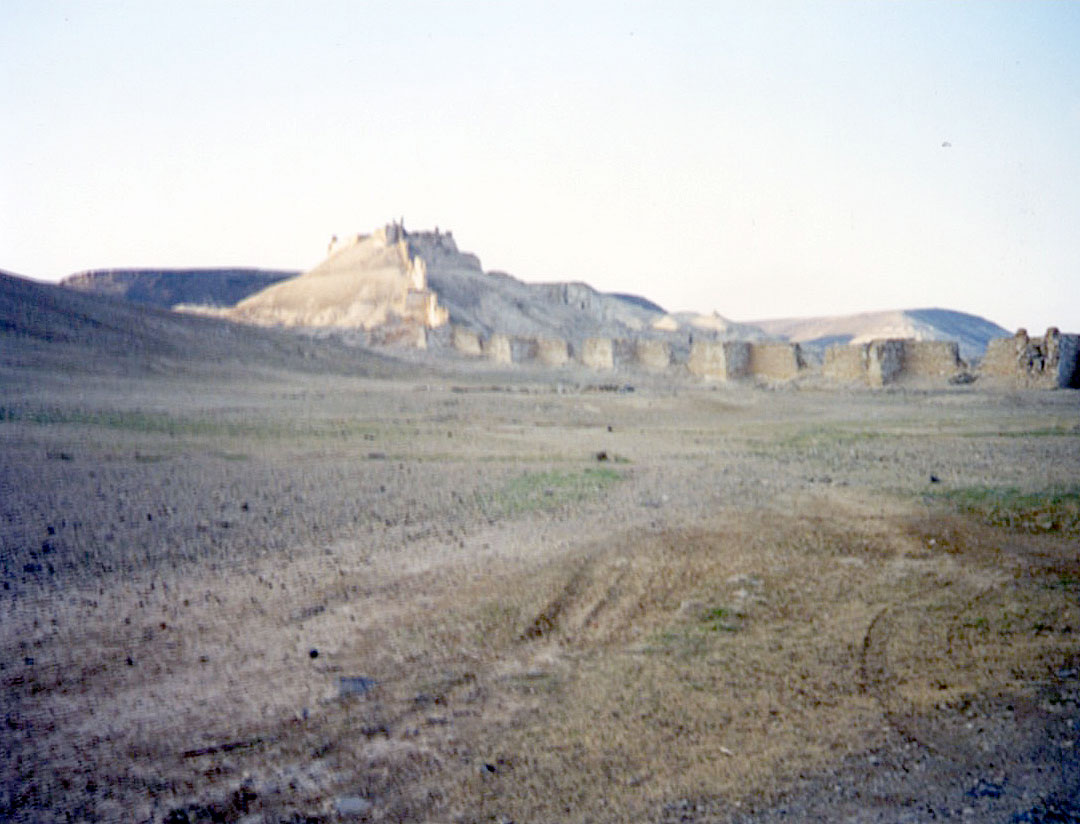 Zenobia, Syria