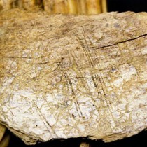 The first humans arrived in North America a lot earlier than believed