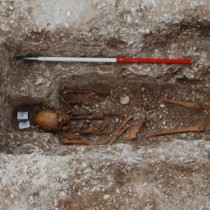 Leprosy strain genotyped from medieval pilgrim at UK burial site