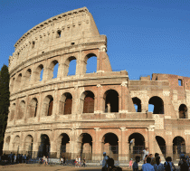 Medieval horse skull found at the Colosseum