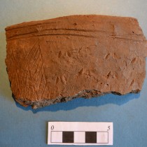 30 pieces of distinctive Neolithic pottery discovered in Scotland