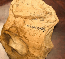 Egyptian artefact is repatriated after studies